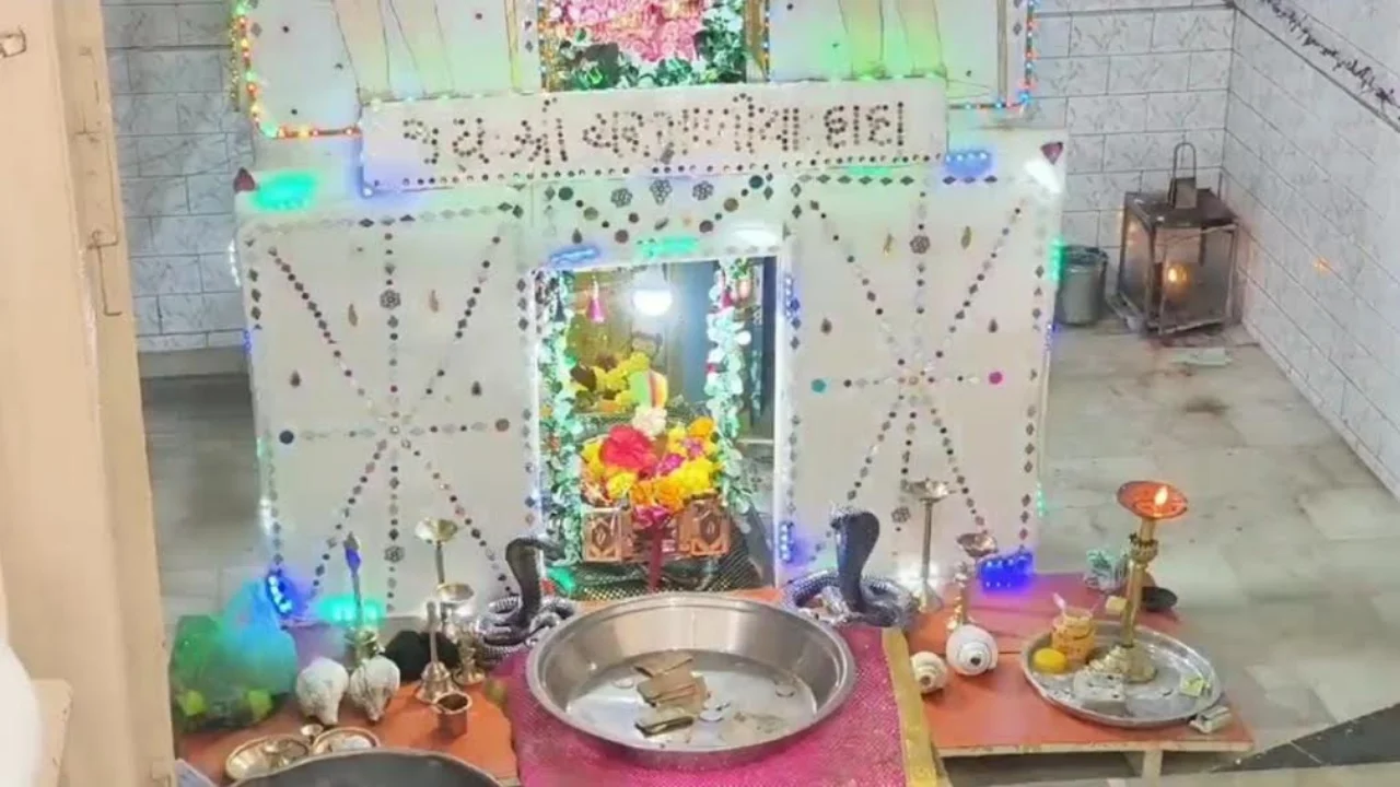 Nag Panchami celebration at Charmaliya Dev Temple Wadhwan Surendranagar